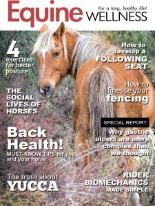 Equine Wellness - 10/11 2018