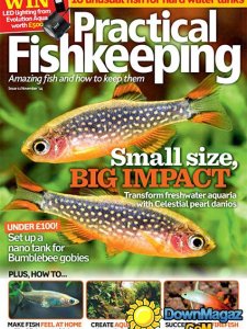 Practical Fishkeeping - November 2014