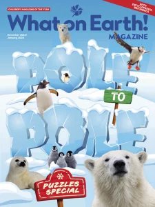 What on Earth! - 12/01 2026