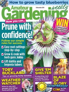 Amateur Gardening - 8 November 2014