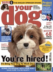 Your Dog – 06.2018