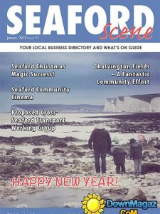 Seaford Scene - January 2015