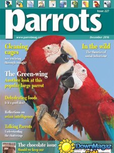 Parrots - December 2016