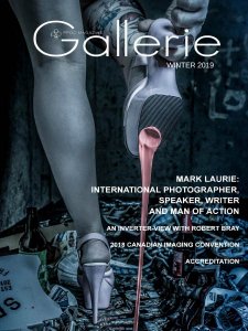 Gallerie - Winter 2018/2019