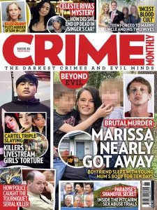 Crime Monthly - 11.2025