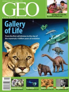 GEO International - November 2010