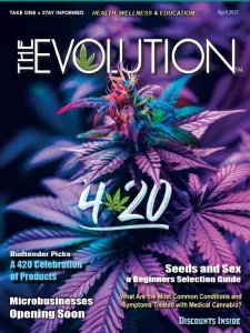 The Evolution - 04.2025