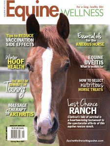 Equine Wellness - 02/03 2017