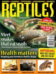 Reptiles - 09/10 2020