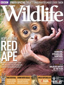 BBC Wildlife - August 2011