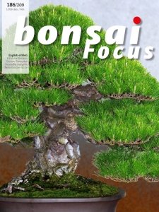 Bonsai Focus - 01/02 2024