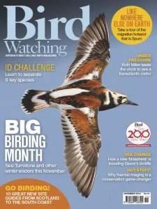 Bird Watching UK - 11.2024