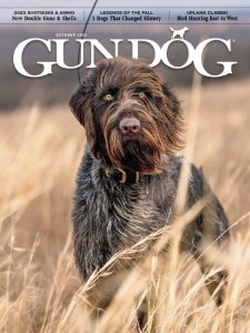 Gun Dog - 10.2023