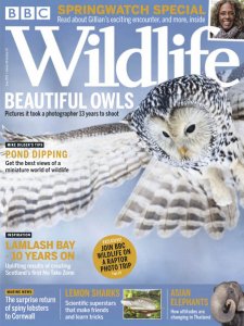 BBC Wildlife - 06.2018