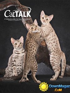 Cat Talk - April 2016