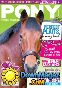 Pony - 04.2017