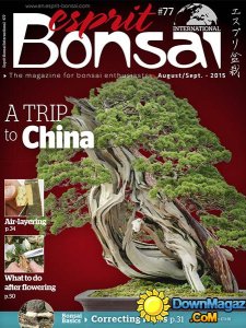 Esprit Bonsai International France - August/September 2015