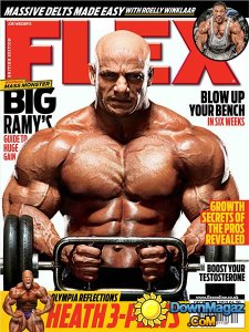 Flex UK - December 2013