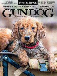 Gun Dog - 03/04 2020