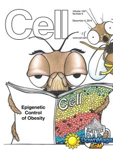 Cell - 4 December 2014