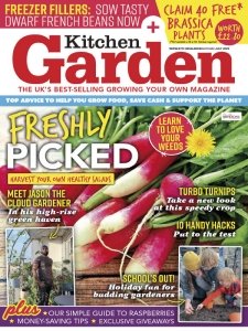 Kitchen Garden - 07.2023