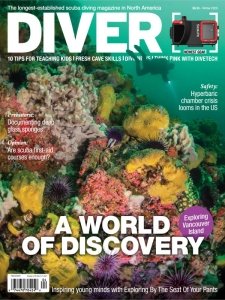 DIVER - Winter 2020