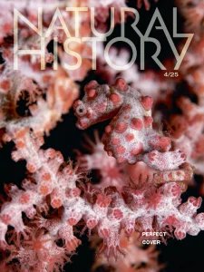 Natural History - 04.2025