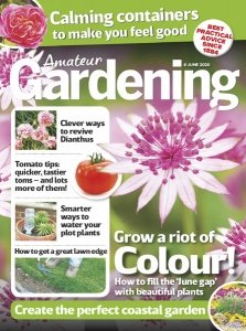 Amateur Gardening - 6.06.2020