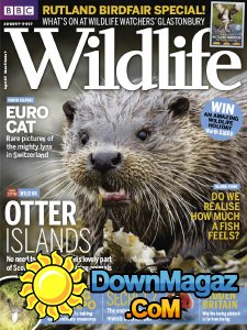 BBC Wildlife - 08.2017