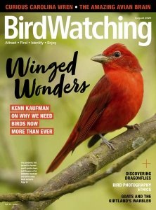 BirdWatching USA - 07/08 2020