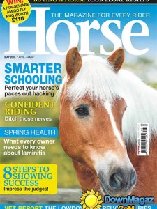 Horse - May 2016