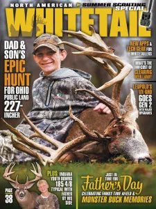 North American Whitetail - 06.2025