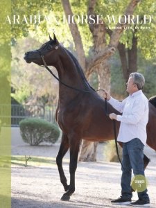 Arabian Horse World - Summer 2021