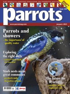 Parrots - 01.2023