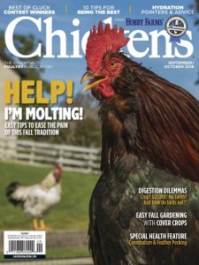 Chickens - 09/10 2019