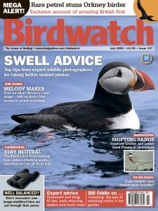 Birdwatch - 07.2020