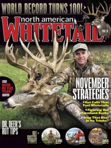 North American Whitetail - 11.2018