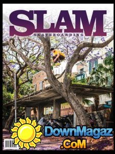 Slam Skateboarding - Summer 2016-2017