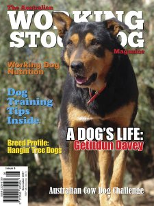 Australian Working Stock Dog - 12.2017