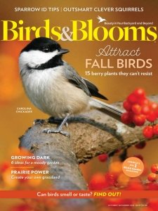 Birds & Blooms - 10/11 2024