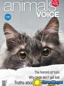 Animals' Voice - Spring 2016