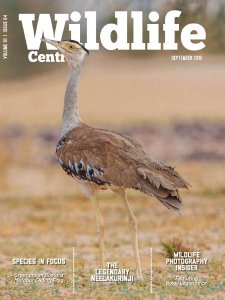 Wildlife Central - 09.2018