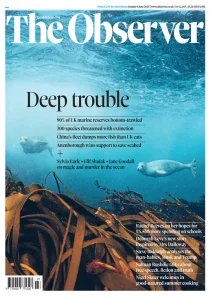 The Observer - 8.06.2025