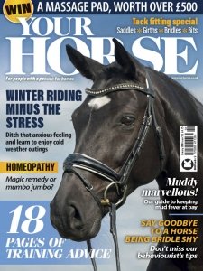 Your Horse - 01.2024