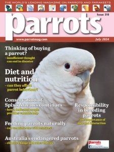 Parrots - 07.2024