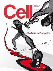 Cell - 8 July 2011