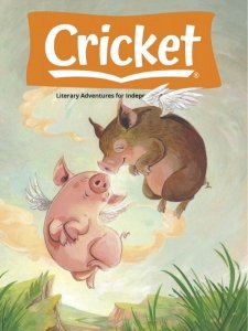 Cricket - 02.2021