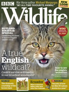 BBC Wildlife - 08.2018