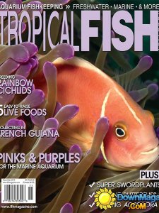 Tropical Fish Hobbyist - November 2014