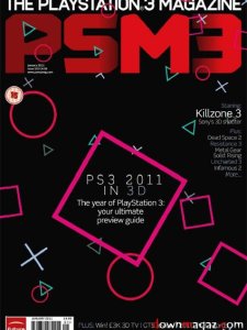 PSM3 - January 2011